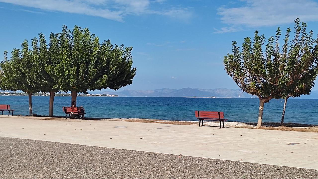 Beautiful Choice - Near Athens Airport - 50M From The Sea - Iq+ Leilighet Artémida Eksteriør bilde